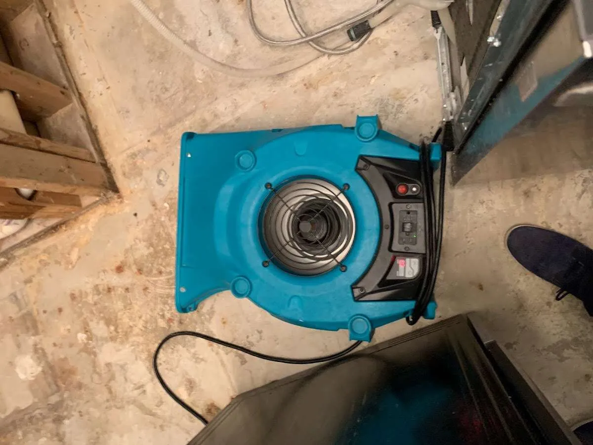 Air mover drying equipment for Mold Remediation & Removal in Sewickley