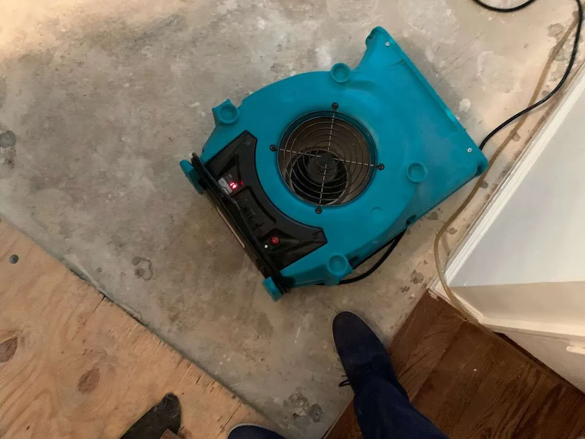 Air mover drying subfloor during Commercial Water Damage Restoration in Sewickley